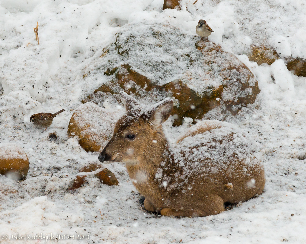 20140226-_D808204.jpg