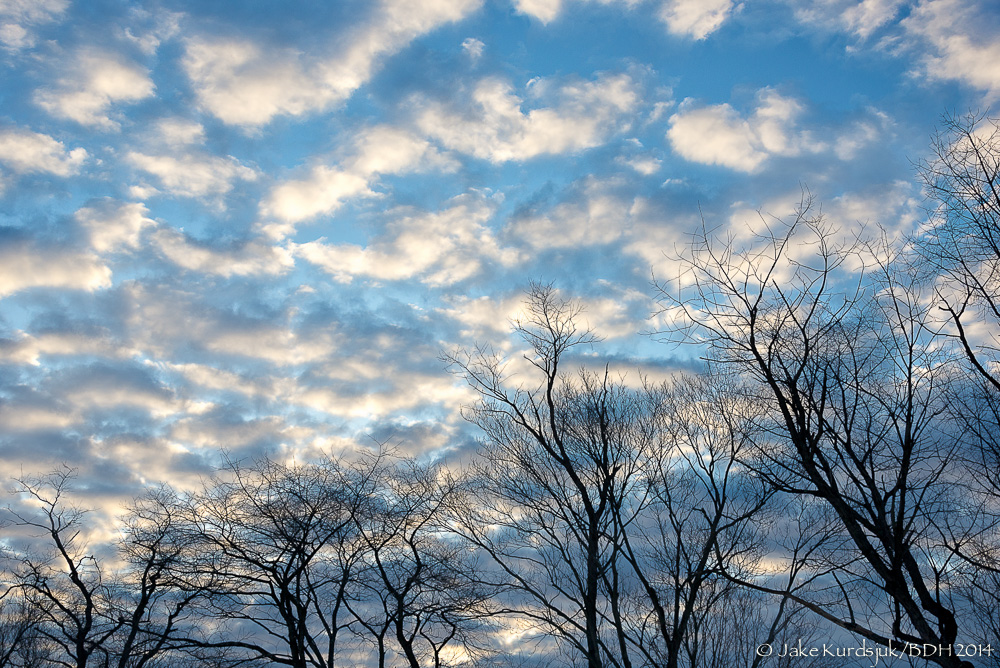 20140305-D62_4153-Edit.jpg