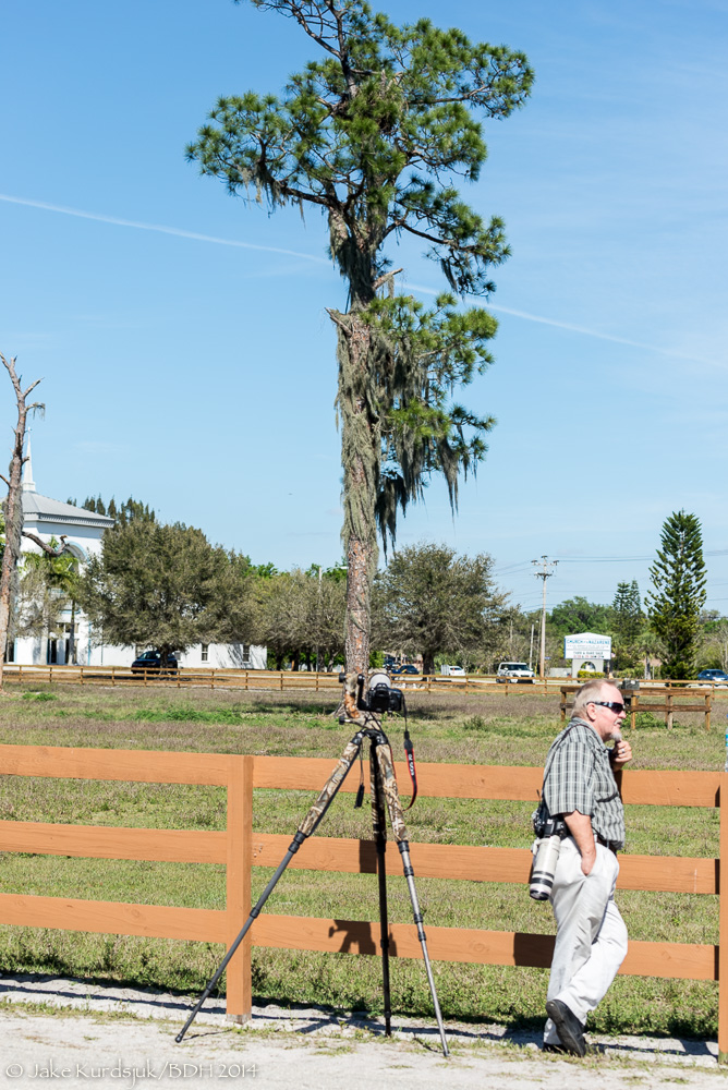 20140318-D62_4449.jpg