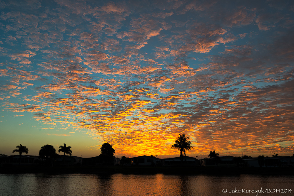 20140319-D62_4478-Edit.jpg