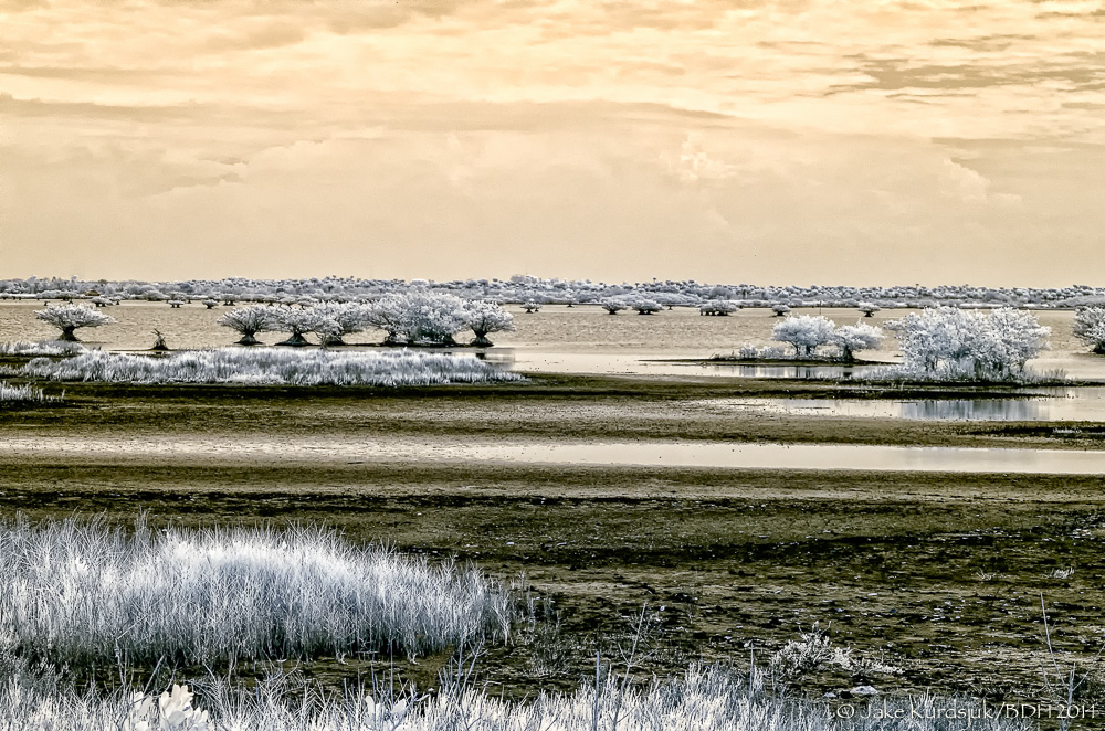 20140324-IR0_9942-Edit.jpg