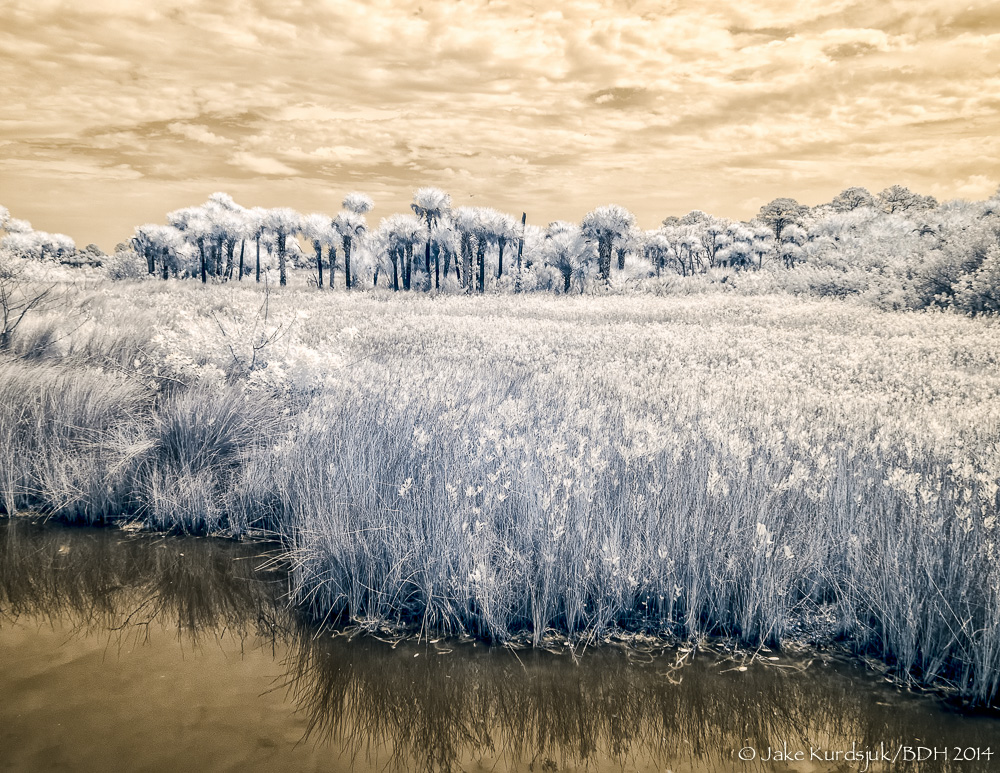 20140324-IR0_9945-Edit.jpg