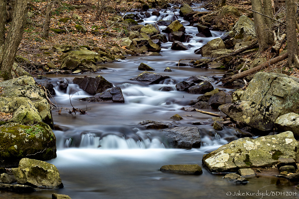 20140407-D62_5256-Edit.jpg