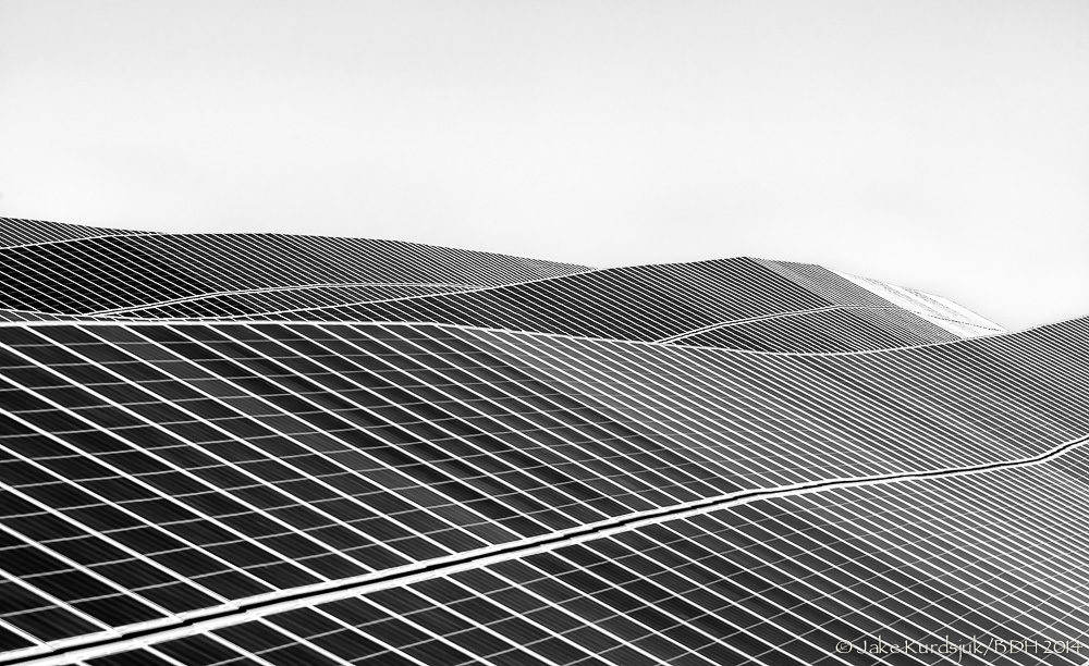 20140416-D80_9447-Edit-Edit.jpg