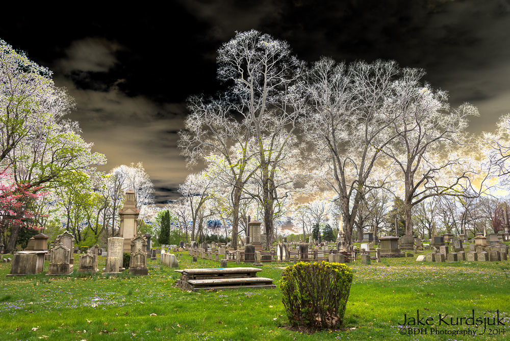 20140504-D62_5593-Edit.jpg