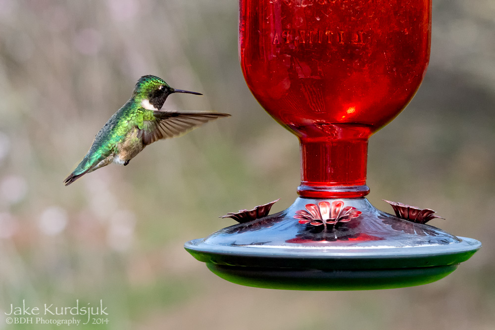20140505-D81_0522-Edit.jpg