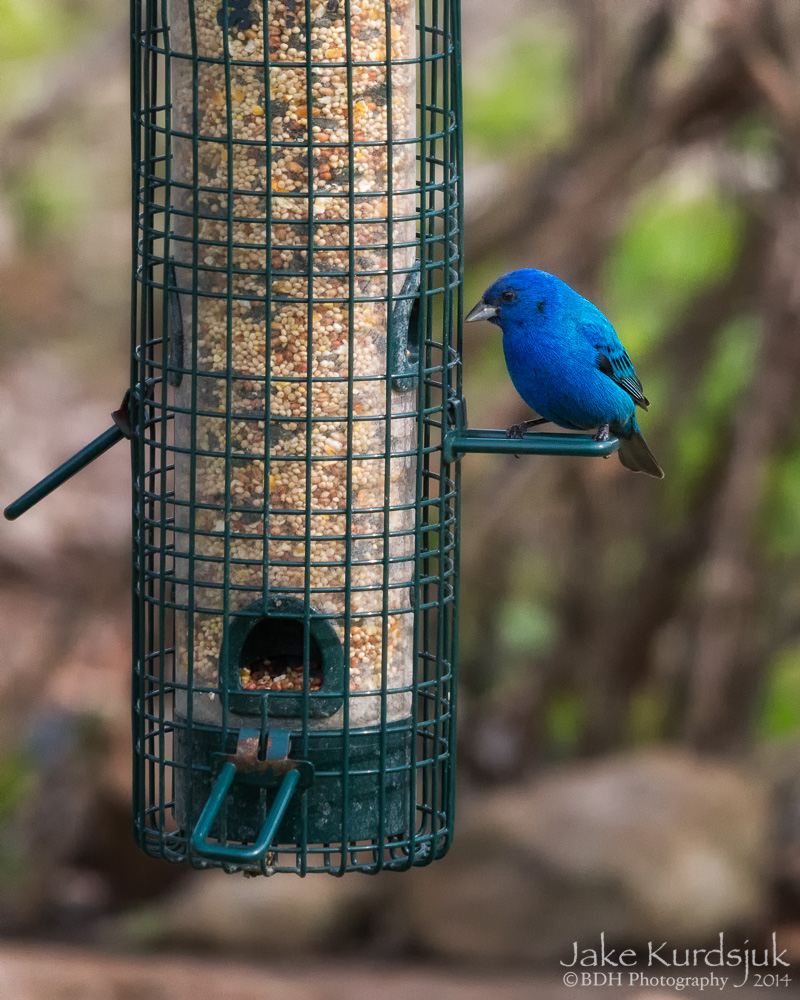 20140505-D81_0532-Edit.jpg