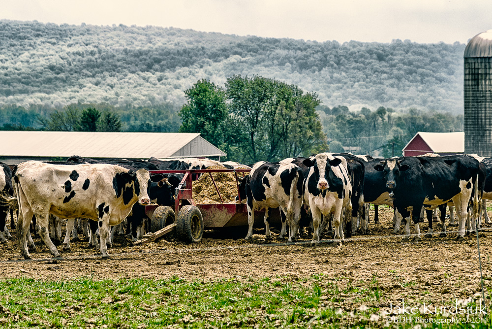 20140515-D62_5854-Edit.jpg