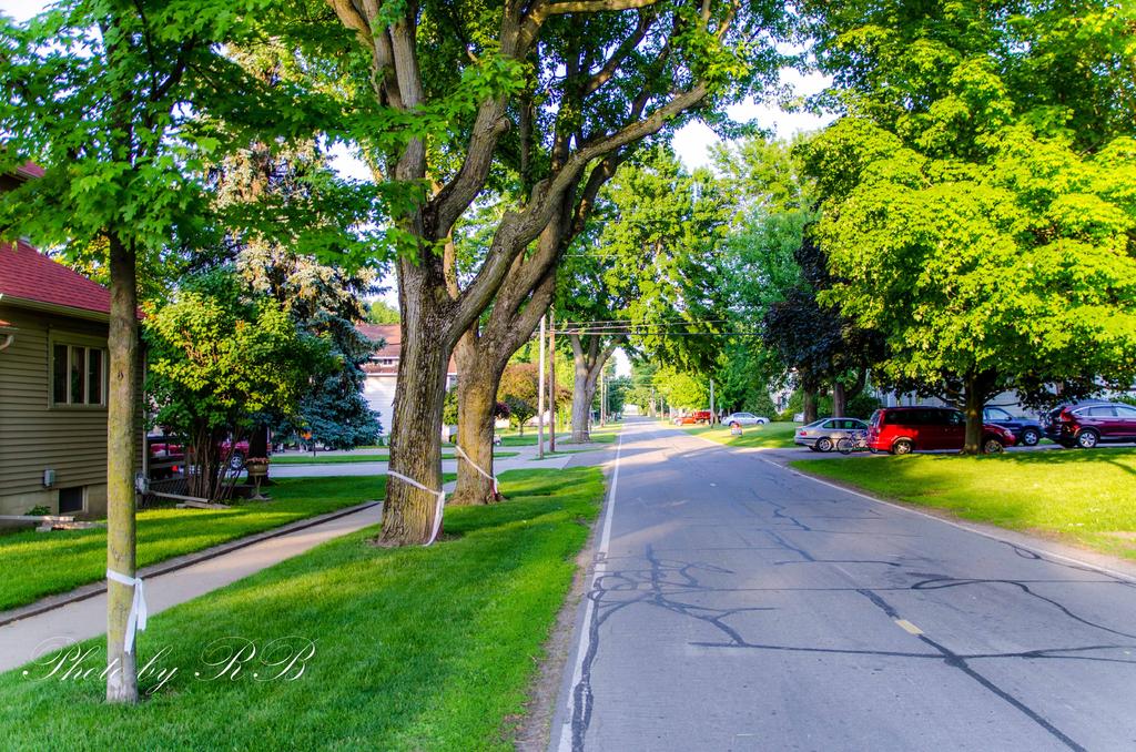 20140531-_1RB2377.jpg