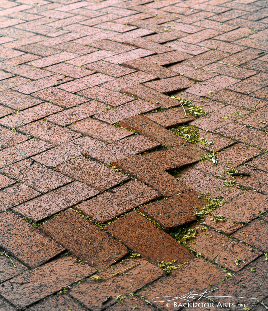 20140606-D62_6305-Edit.jpg