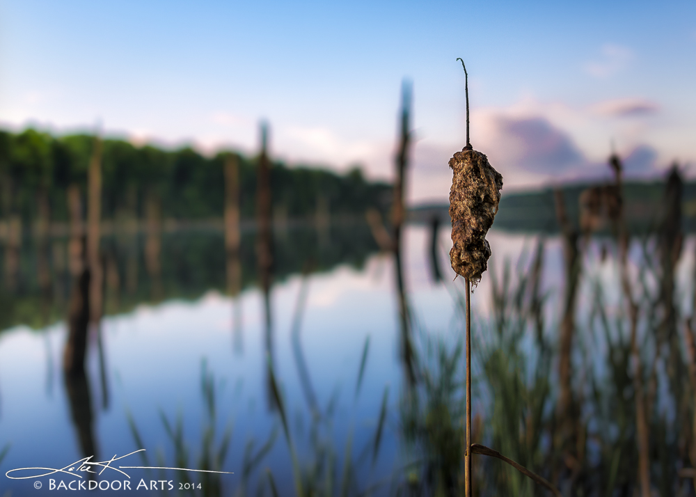 20140614-D81_2395-Edit.jpg