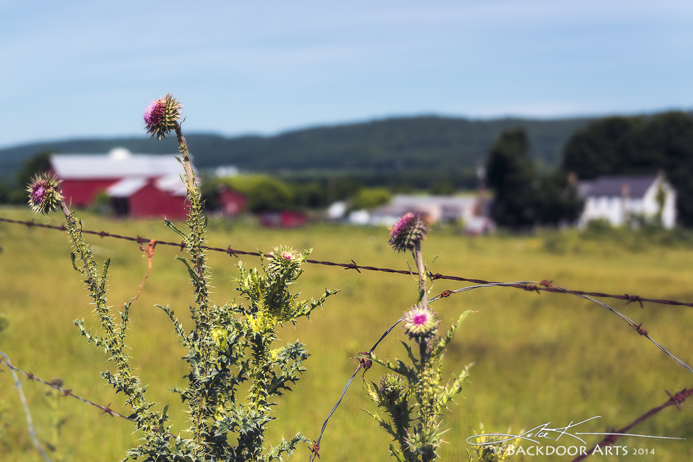 20140618-D81_2674-Edit.jpg