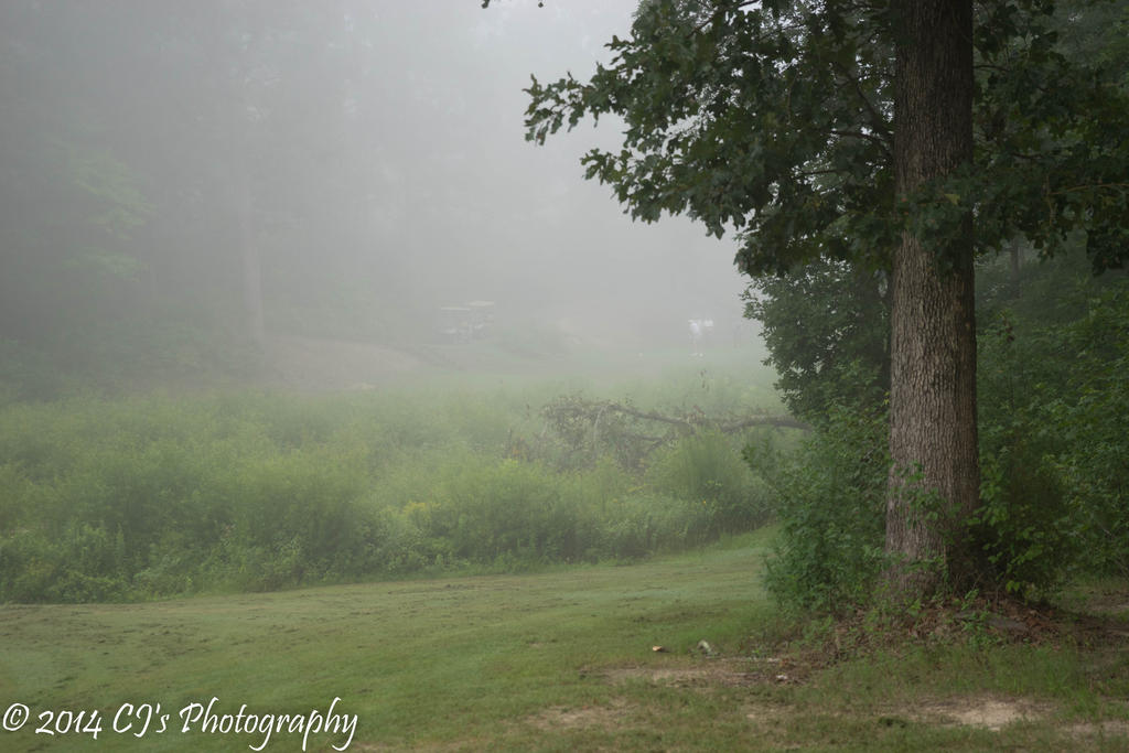 20140708-_DSC0064.jpg