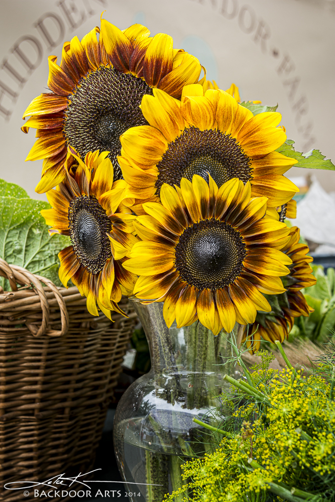 20140719-D71_1313-Edit.jpg