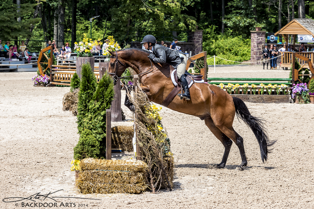 20140720-D71_1608-Edit.jpg