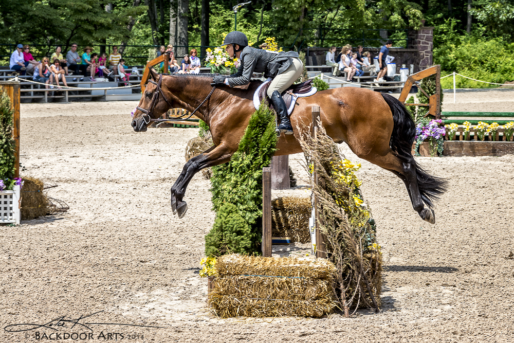 20140720-D71_1609-Edit.jpg