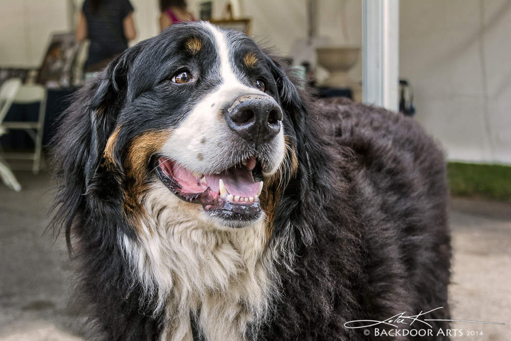 20140720-D71_1616-Edit.jpg