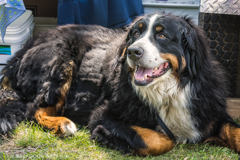 20140720-D71_1642-Edit.jpg