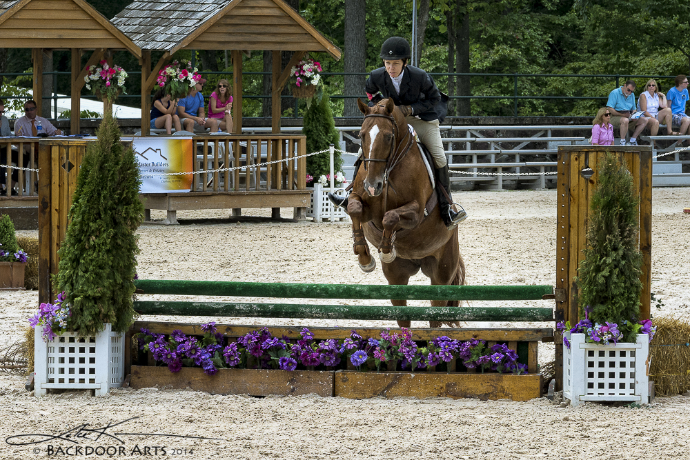 20140720-D71_1667.jpg