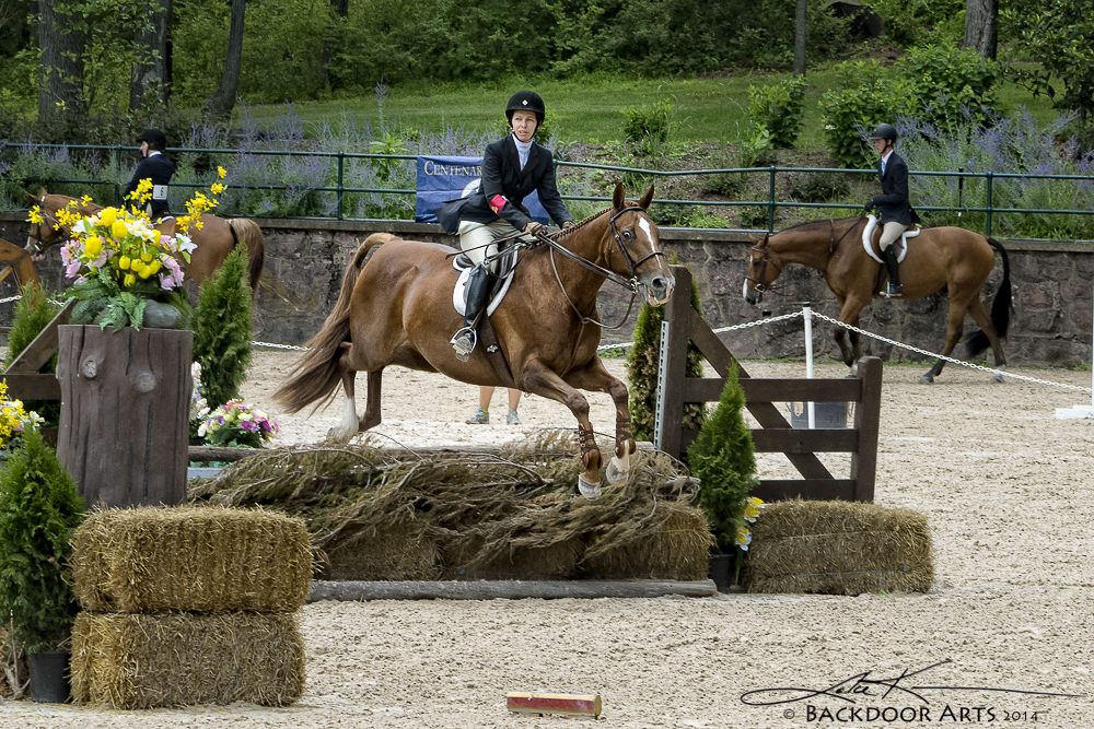 20140720-D71_1671.jpg