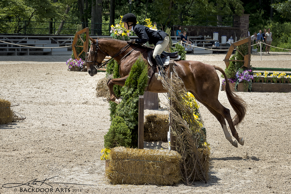 20140720-D71_1705.jpg