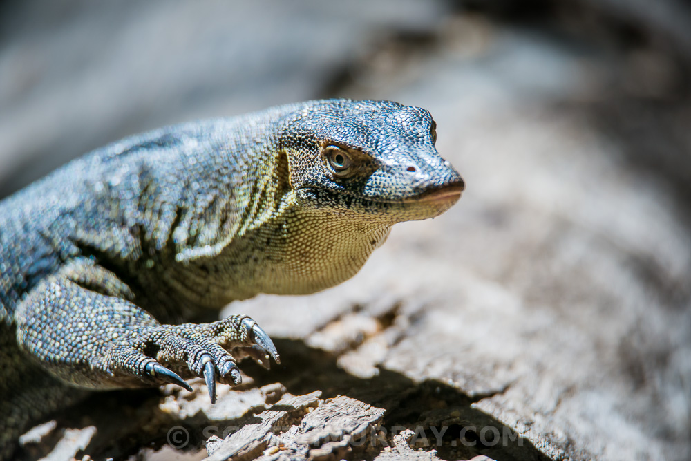 20140727-SHM_5839.jpg
