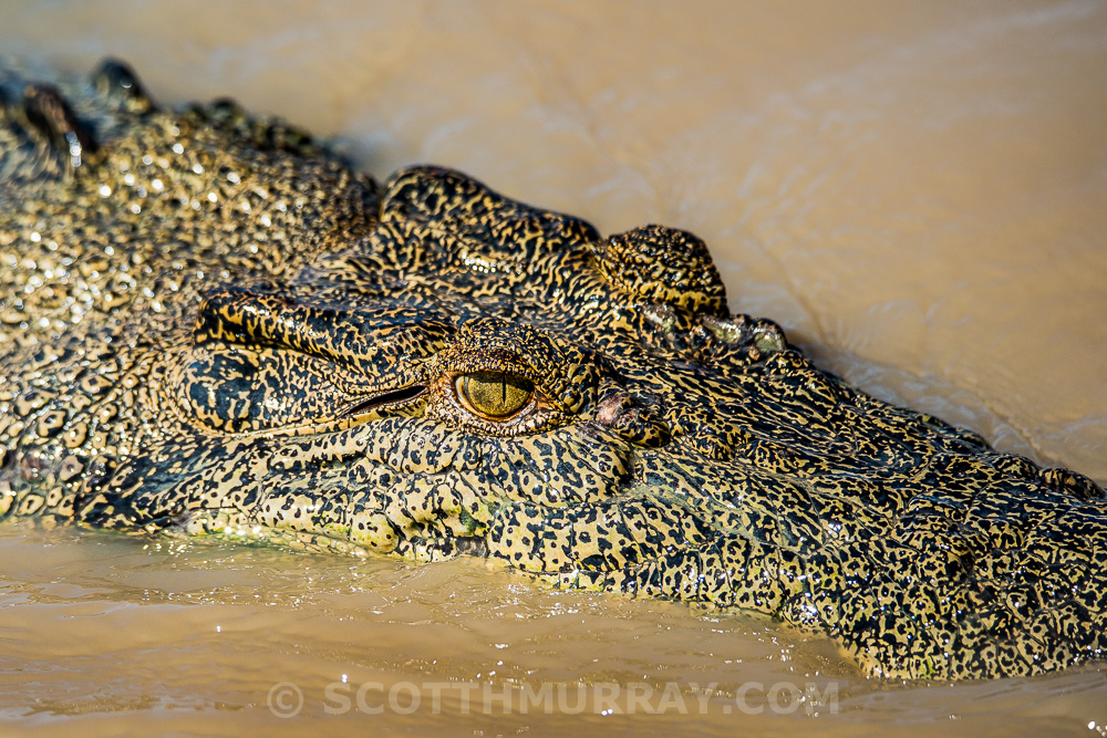 20140728-SHM_5913.jpg