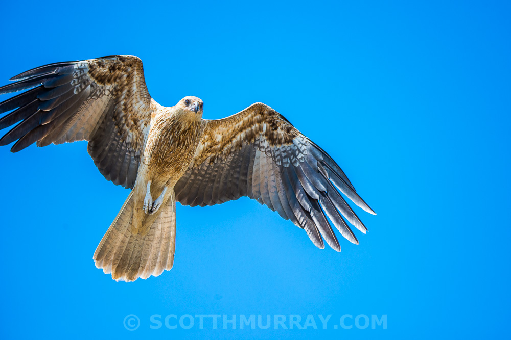 20140728-SHM_6012.jpg