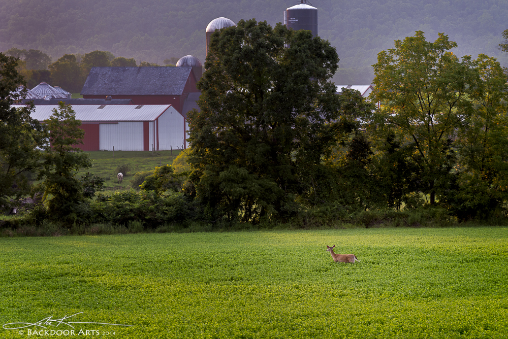 20140731-D62_6844-Edit.jpg