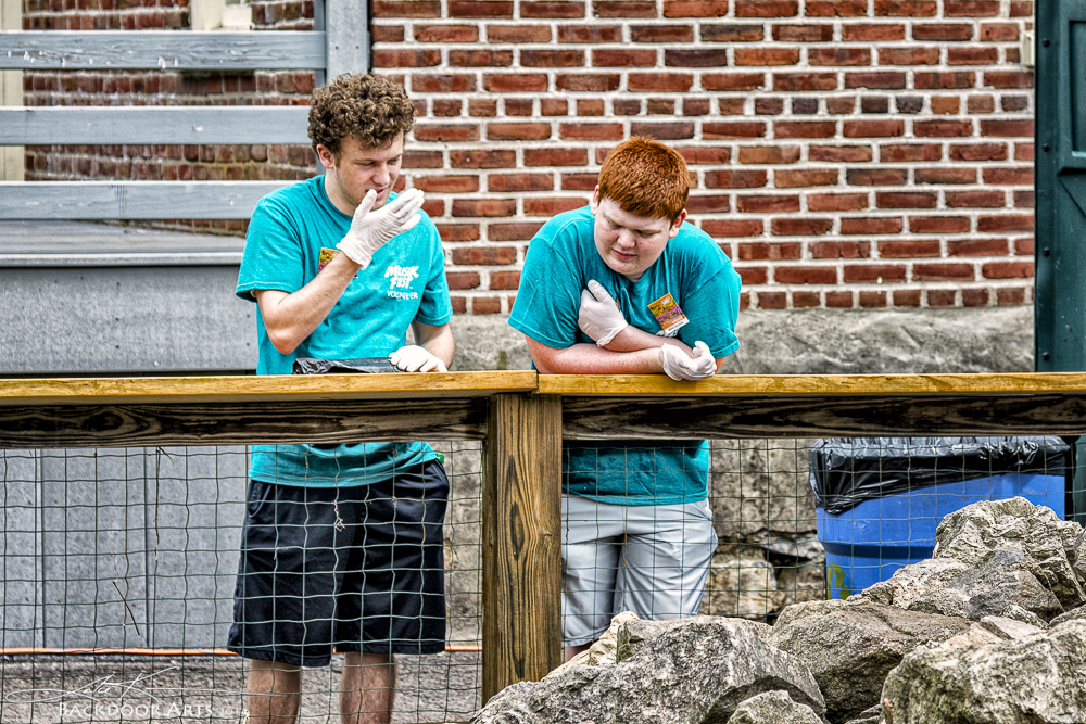 20140802-D71_2601-Edit.jpg