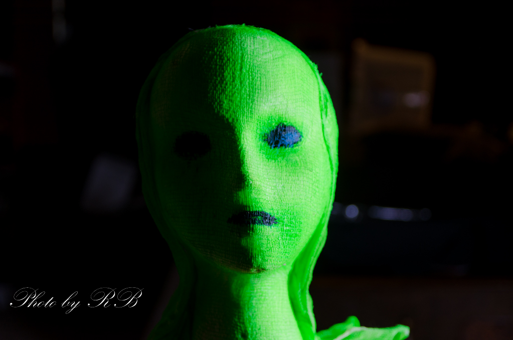 20140804-_1RB2623.jpg