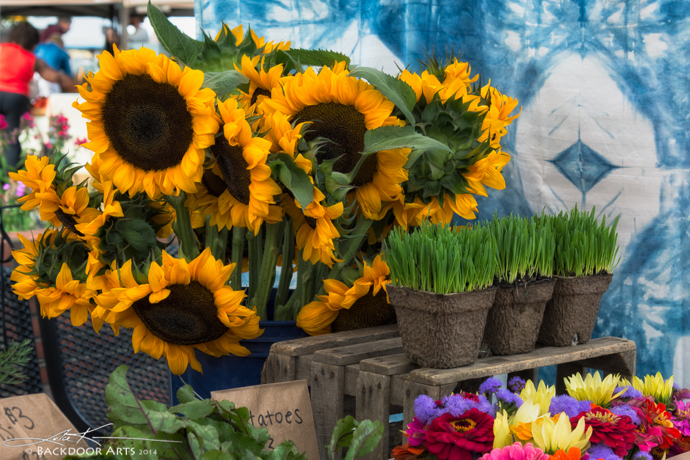 20140816-D71_3808-Edit.jpg