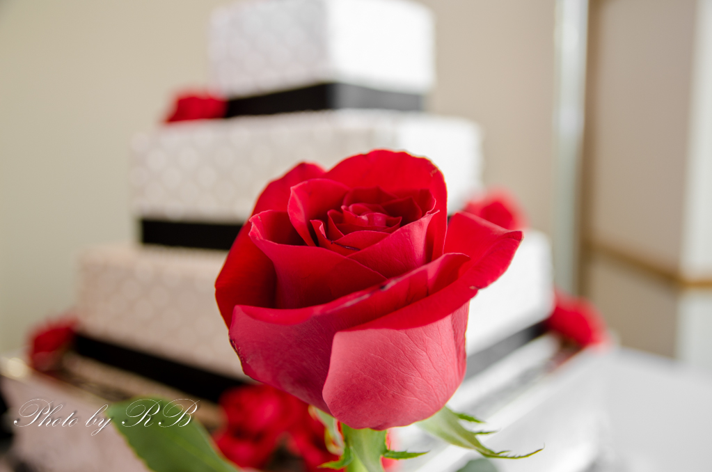 20140920-_1RB4451.jpg