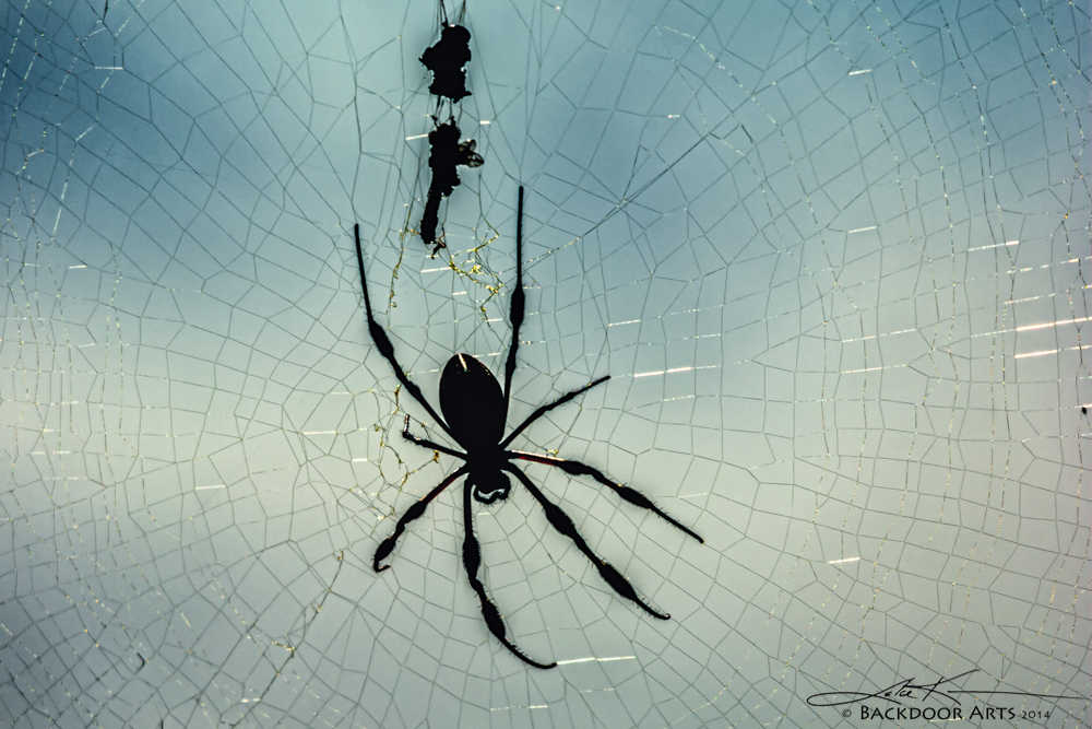 20141002-D71_6015-Edit.jpg