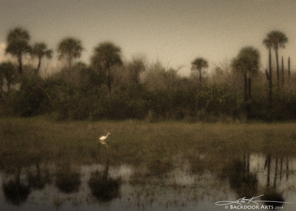 20141002-E60_1023-Edit.jpg