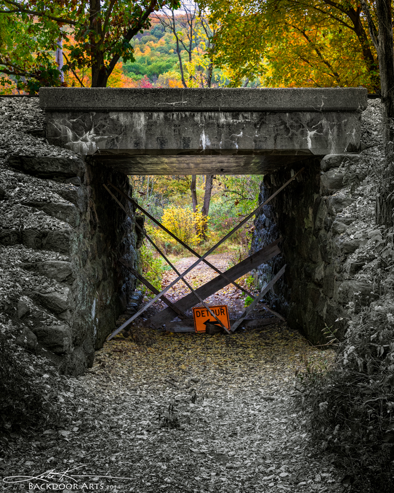 20141015-E60_2091-Edit.jpg