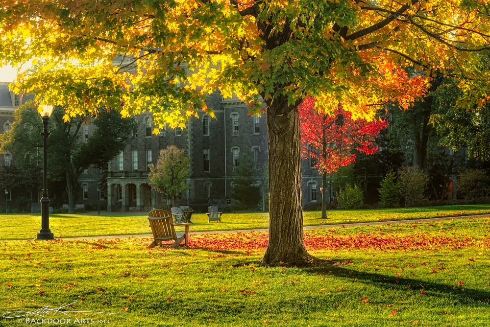 20141025-D75_0147-Edit.jpg