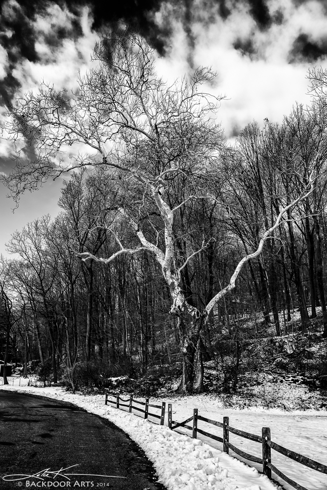 20141201-D75_1879-Edit.jpg