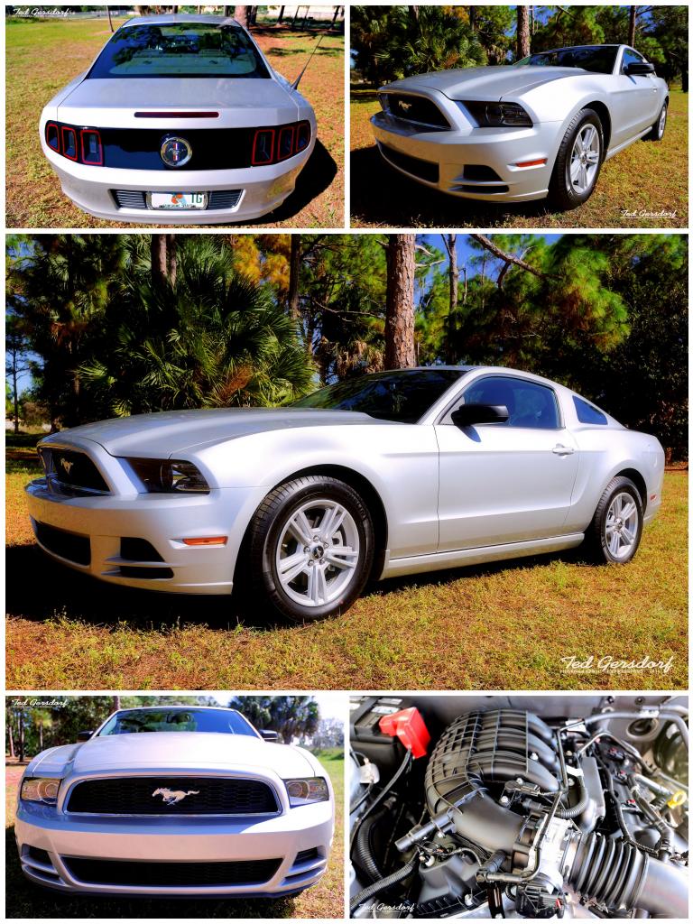 2014MustangCollage_zpsf41b28b9.jpg