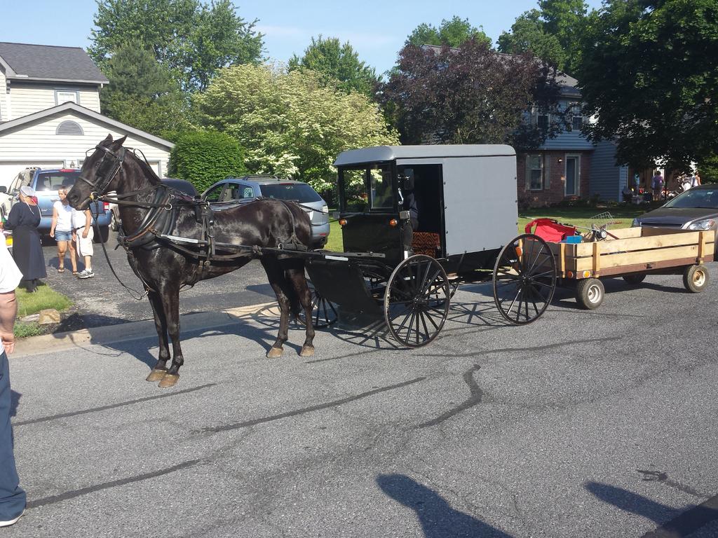 2015-05-25 08.27.23.jpg