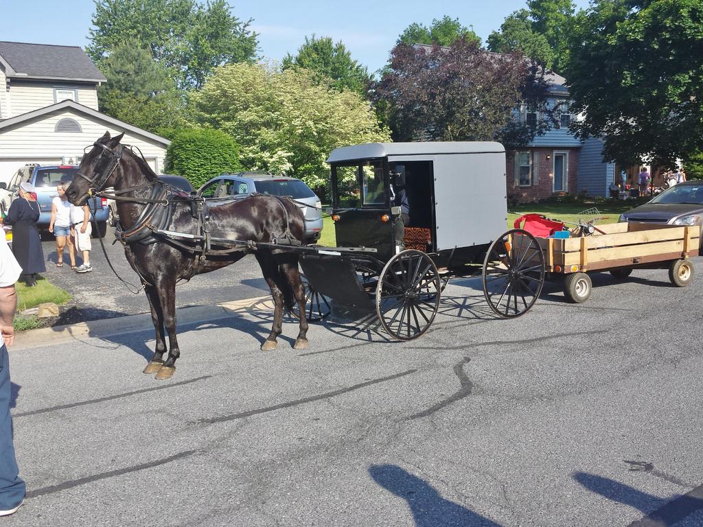 2015-05-25 08.27.23.jpg
