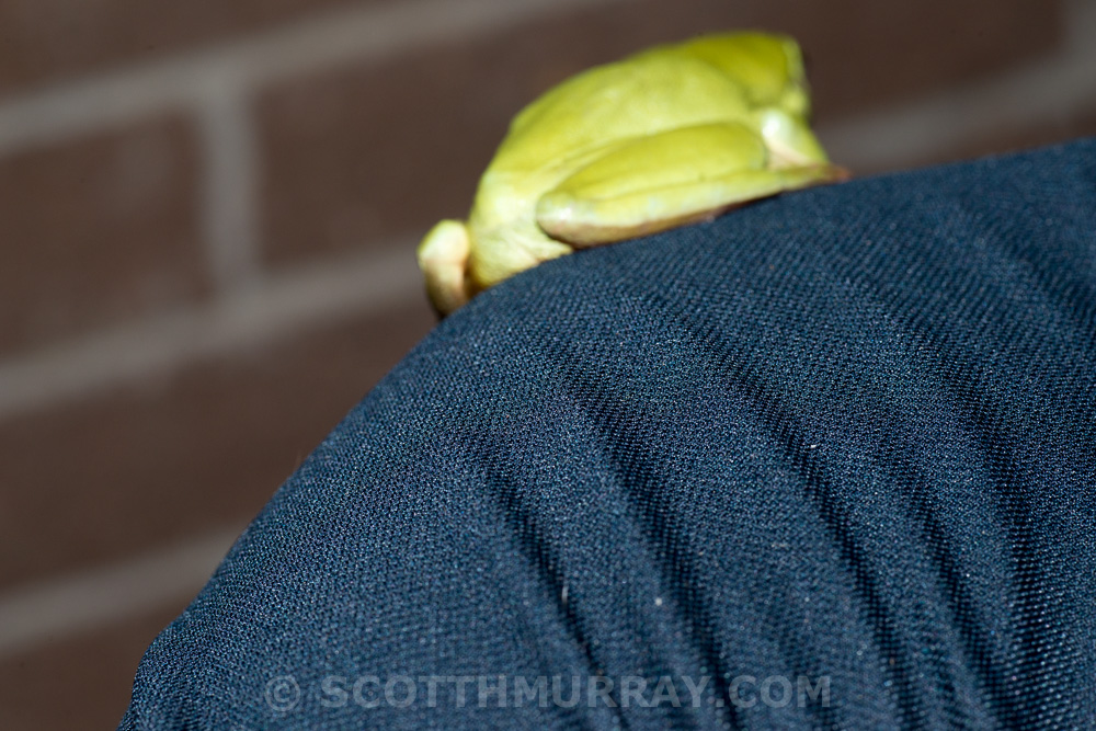 20150128-20150128-SHM_0558.jpg