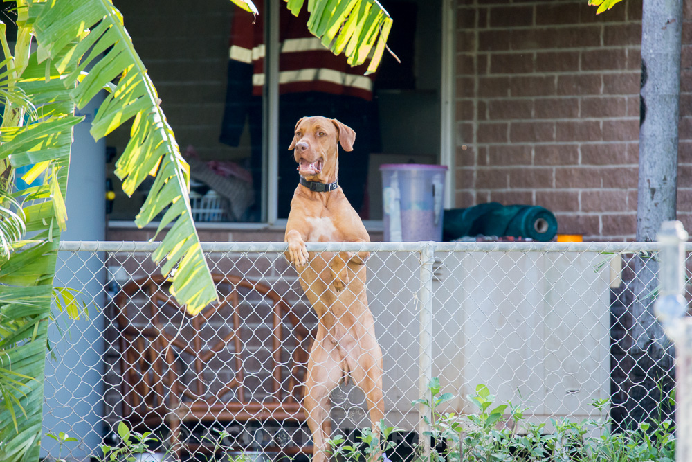 20150202-20150202-SHM_0655.jpg