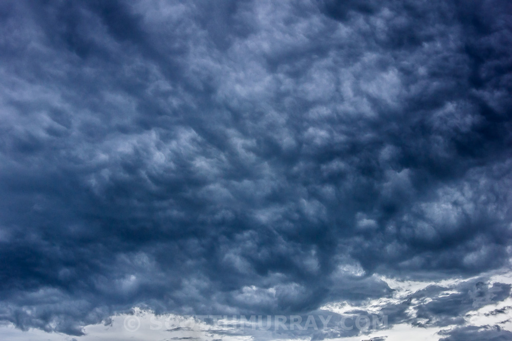 20150322-20150322-DSC_0015.jpg