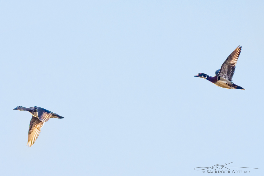 20150430-D71_1092-Edit.jpg