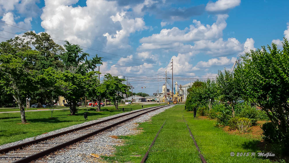 20150520_165420.jpg