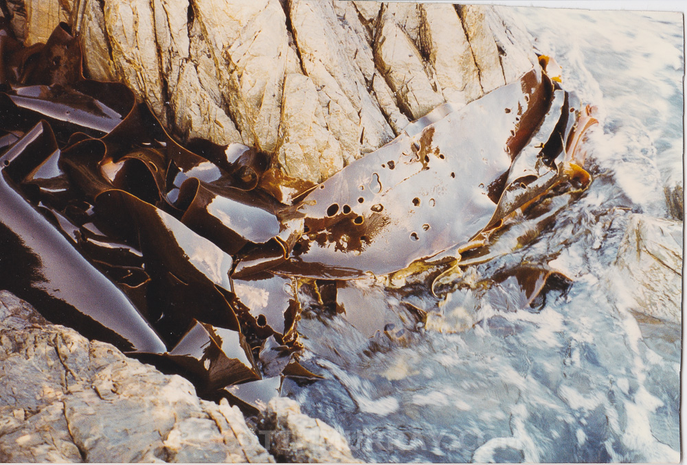 20150713-Old film 17.jpg
