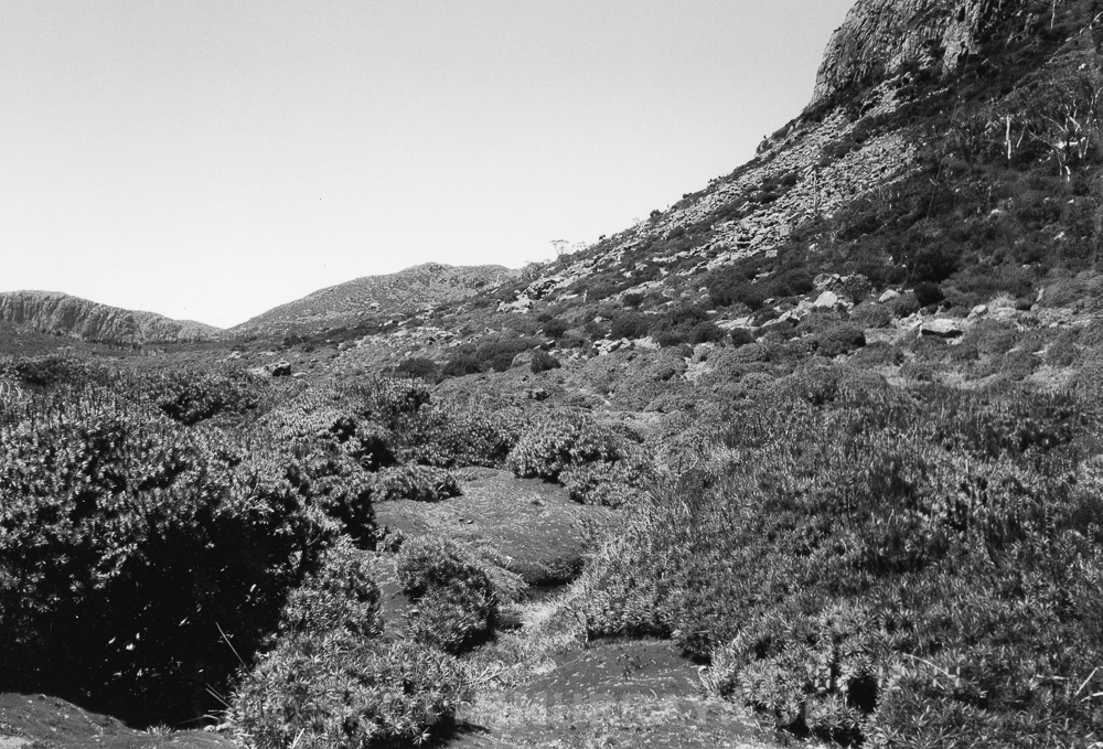 20150713-Old film 68.jpg