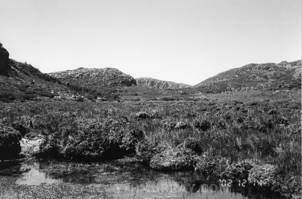 20150713-Old film 69.jpg