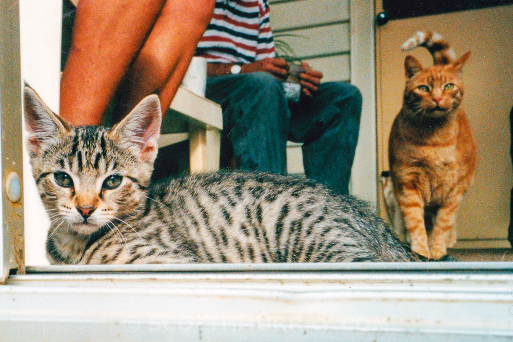 20150713-Old film 70.jpg